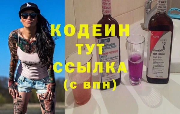 индика Баксан
