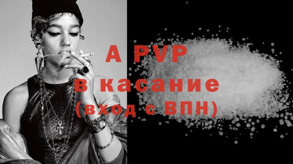 индика Баксан