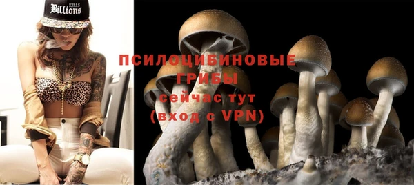 ECSTASY Балабаново