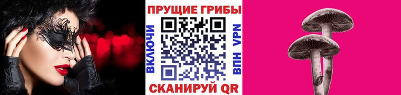 omg как войти  Можга  Галлюциногенные грибы Psilocybe  закладки 