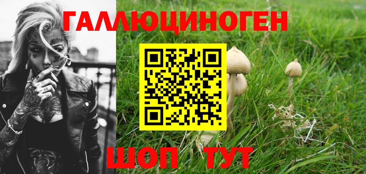 Галлюциногенные грибы Cubensis  Псилоцибиновые грибы Cubensis  продажа наркотиков  Можга  Вход с VPN 