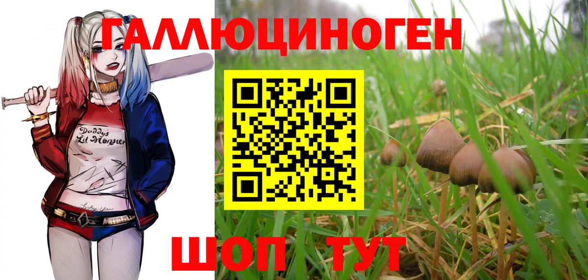 Псилоцибиновые грибы MAGIC MUSHROOMS Можга